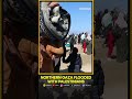 israel gaza war gazans head for homes in north after hostage breakthrough wion shorts