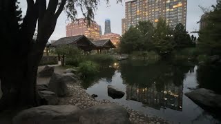 Kariya Park (Mississauga) - 密市的免费日式花园 - 暮色中的感觉