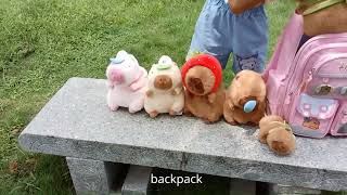 Top Capybara Toys: Capybara Stuffed Toys \u0026 Plush - Best Christmas Gifts for Capybara Lovers 2024