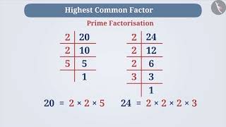 Highest common factor (HCF) and Lowest common multiple (LCM) | Part 1.1/3