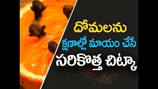 Domalu povalante | How to rid mosquitoes in the house | domalu rakunda chitkalu | kitchen tips