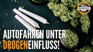 Autofahren unter Drogeneinfluss 🚬 💊