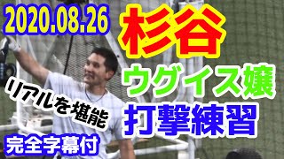 杉谷拳士選手恒例 西武ウグイス嬢によるいじりフリーバッティング「杉谷選手のリアルをご堪能下さい」20200826メットライフドーム【完全字幕付】