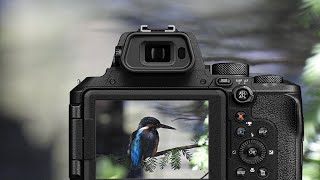 Top Best Nikon Cameras for Wildlife Photography