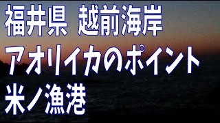 越前海岸 アオリイカポイント  米ノ漁港