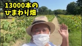 太陽の塔のふもとの約13000本のひまわりが咲くエリアに行ってきた