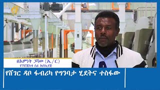 የሸገር ዳቦ ፋብሪካ የግንባታ ሂደትና ተስፋው