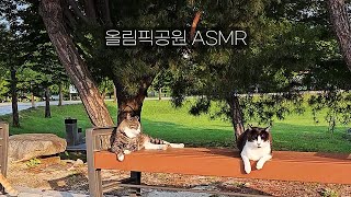 아침 올림픽공원 산책 백색소음/새소리/real sound/ Walking to Olympic Park in the morning/Sounds of Korea