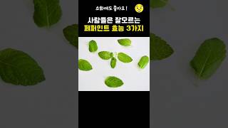 사람들은 잘 모르는 페퍼민트 효능 3가지 #페퍼민트