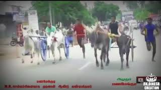 மணமேல்குடி பழைய பந்தயம் சலீம் VS கணபதி அண்ணா கடைசி நெடிவரை போராட்டம் ...🔥🐂💪🔥