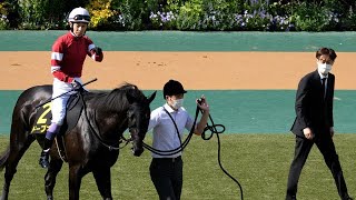 武豊×幸四郎調教師 パドックで馬主藤田晋さんを見つける