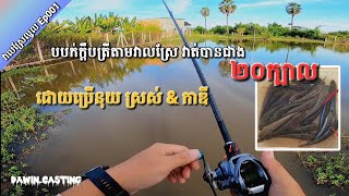 ស្រែល្មូល Ep001 វាត់កូនត្រីជាង ២០ក្បាល ដោយប្រើនុយស្រស់ នឹង កាឌី | Happy Fishing in my village.