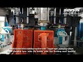 1L 2L 5L HDPE Bottles Gallons Full Automatic Blow Molding Machine