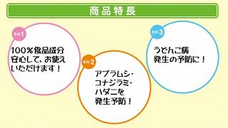 オーガニック 害虫と病気を予防するスプレー