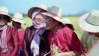 ការប្រកួតច្រូតស្រូវ ដាល់អំបុកខ្មែរក្នុងកម្មវិធី «អំបុកខ្មែរថែប្រពៃណីជាតិ» |​ ING Foundation |