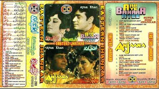 Aap Aaye Bahar Aayee ~ CD JHANKAR ~