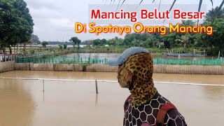 BENAR2 REJEKI MANCING BELUT DAPAT BESAR-BESAR DI TEMPAT ORANG MANCING INI || MANCING BELUT RAWA