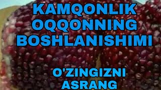 #KAMQONLIK  #OQQONNING #BOSHLANISHIMI #OZINGIZNI #ASRANG #КАМКОНЛИК #ОККОННИНГ #БОШЛАНИШИМИ