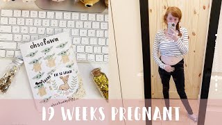 pregnancy vlog 19 weeks - feeling baby move and new baby products | ohsofawn