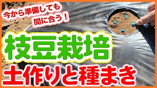 家庭菜園や農園で今から準備しても間に合う！枝豆栽培の土作りと種まきのポイント！3月にやるべき枝豆のお世話を徹底解説！【農園ライフ】