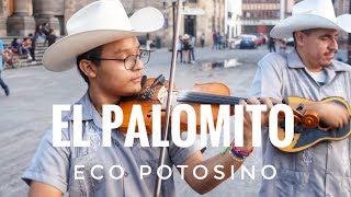 Trío Eco Potosino - El Palomito