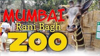 Rani Bagh ZOO