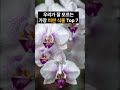 우리가 잘 모르는 가장 비싼 식물 top 7