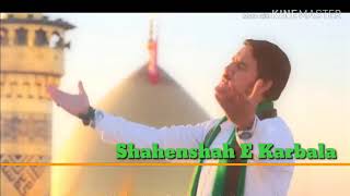 Wiladat Shahzada Ali Akbar as WhatsApp Status||11 Shaban WhatsApp Status||Shia WhatsApp Status||