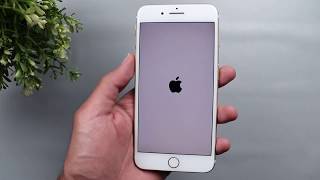 How to fix iPhone stuck on apple logo, iphone error 4013, iPhone black screen?