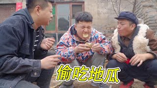 兄弟3人偷吃老爸地瓜，卻合夥嫁禍給妹妹，結果被飽嗝出賣【小貝愛叨叨】