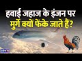 #News_This_Hour: Why are chickens thrown at the airplane engine || Dhyeya IAS