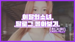 [이달의소녀 / 달로그] 이달의 소녀 달로그 몰아보기 『최리편』