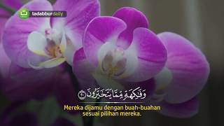 Surah Al-Waaqi'ah | Zain Abu Kautsar (Bikin Kamu Menangis)