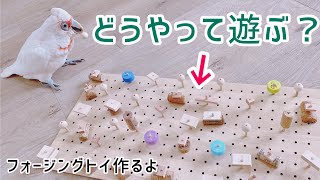 【フォージングトイ】インコの知育玩具を作ったよ😁👍