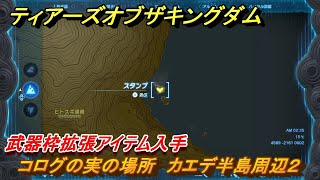 ティアキン　コログの実の場所　カエデ半島周辺２　武器枠拡張アイテム入手　＃１２０６　【ゼルダの伝説ティアーズオブザキングダム】