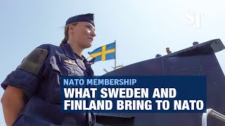 What Sweden and Finland bring to Nato