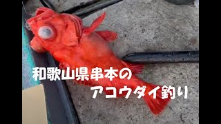 和歌山県串本のアコウダイ釣り