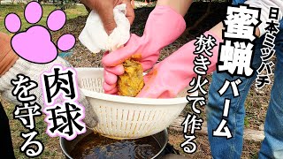 【日本ミツバチ】蜜蝋バームを作る。【コロニー内検】謎。蛹を捨てるミツバチ達。