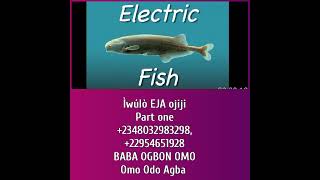 ÌWULO ẸJA ÒJÌJI PART ONE, +2348032983298, +22954651928, +2250506134943