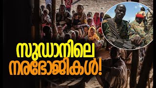 സുഡാനില്‍ കൂട്ടക്കൊല തുടരുന്നു; ഇരകള്‍ സാധാരണക്കാര്‍| What is happening in Sudan? Kalakaumudi Online