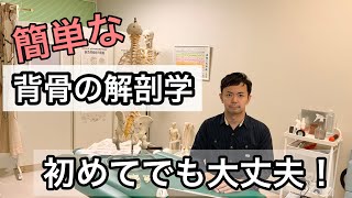 背骨の解剖学！【初心者でも大丈夫！解剖学講座】