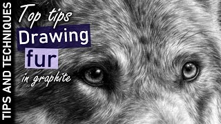Top tips on how to draw fur in graphite | Photo realistic graphite drawings