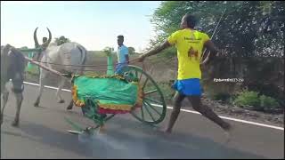 வண்டி சக்கரம் உடைந்தும் எல்கை நோக்கி கருப்புதுரை