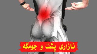 ئازاری پشت و جومگه‌کان - باشترین و خراپترین خۆراک بۆ ئازاری پشت و جومگه‌کان