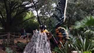 EXTREME Bugs! at the Houston Zoo - Binaural HD