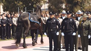 Honoring Our Fallen Heroes: A Monument to Remember