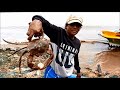 king size mud crab caught in fishing net