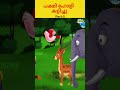 പക്ഷി ഹോളി കളിച്ചു.. malayalam moralstoriesmalayalam malayalamcartoons story shorts ytshorts