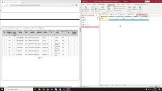Database Mock Activity 1 - Data Entry