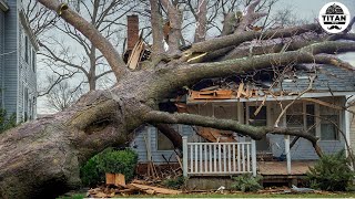 Dangerous Fastest Idiots Cutting Tree Fails Skill With Chainsaw | Tree Falling on Houses #14